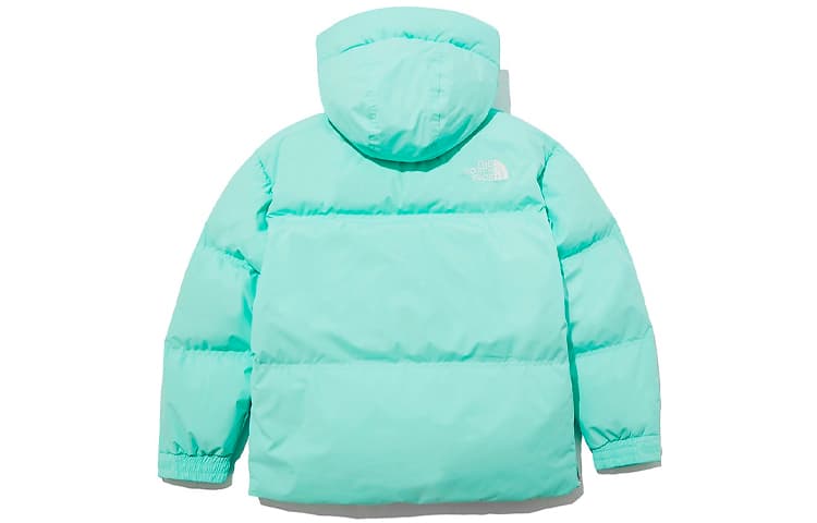 Зимняя куртка THE NORTH FACE 1996 Nuptse eco Logo - изображение 3