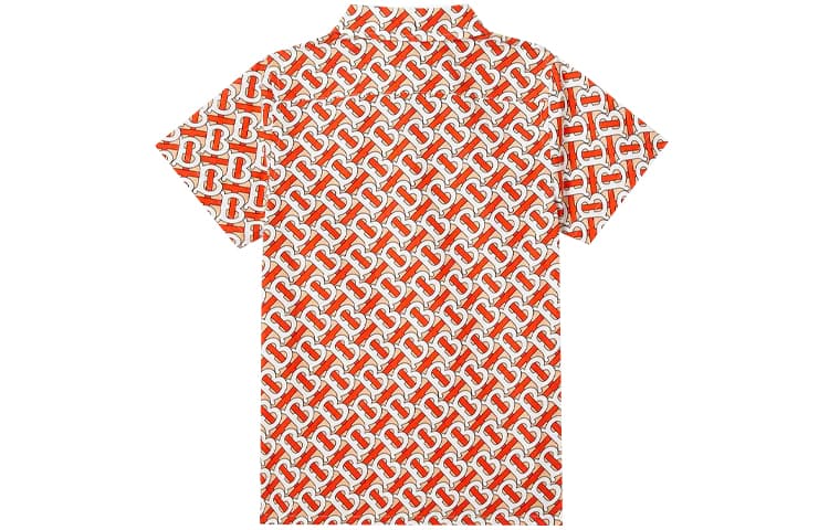 Burberry Logo - изображение 2