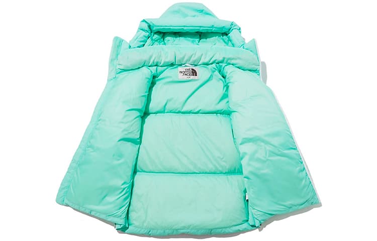 Зимняя куртка THE NORTH FACE 1996 Nuptse eco Logo - изображение 2