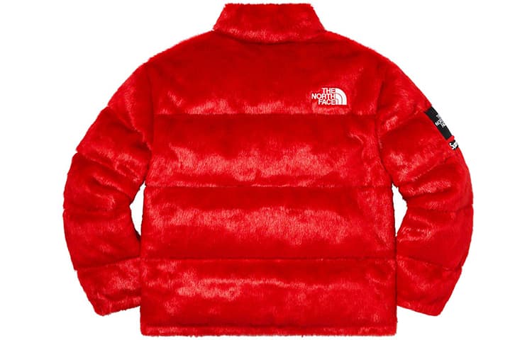 Куртка Supreme x The North Face - изображение 2