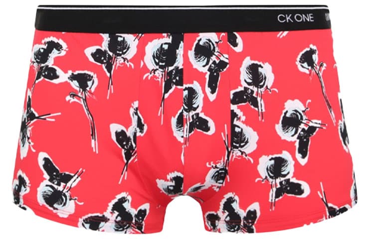 Трусы CKCalvin Klein - изображение 1