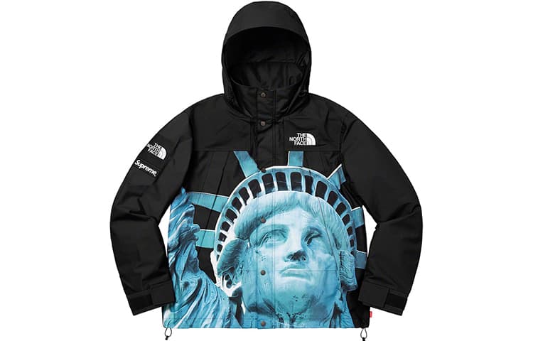 Демисезонная куртка Supreme x The North Face Statue of Liberty Mountain Jacket Black - изображение 2