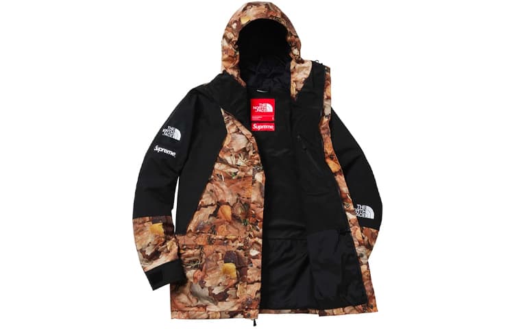 Демисезонная куртка Supreme x The North Face FW16 Leaf Print Jacket Black - изображение 3