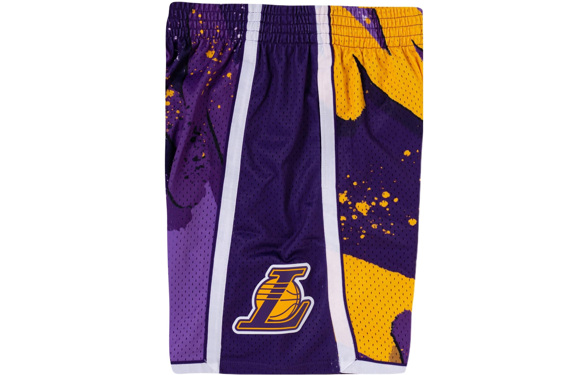Баскетбольные шорты Mitchell Ness SW 09-10 NBA - изображение 3