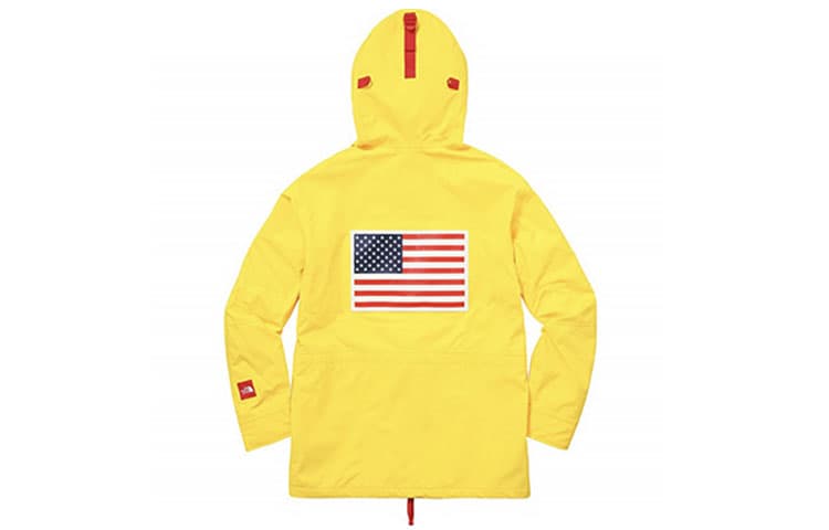 Демисезонная куртка Supreme x THE NORTH FACE SS17 TNF - изображение 2