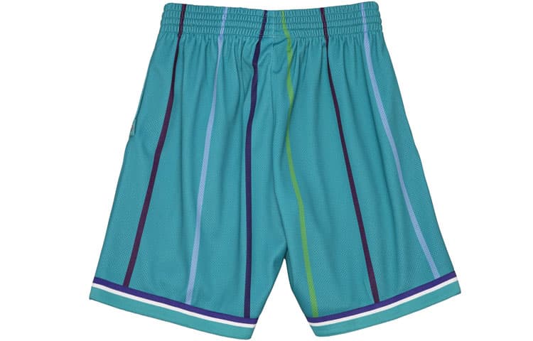 Баскетбольные шорты Mitchell Ness Big Face 2.0 - изображение 2