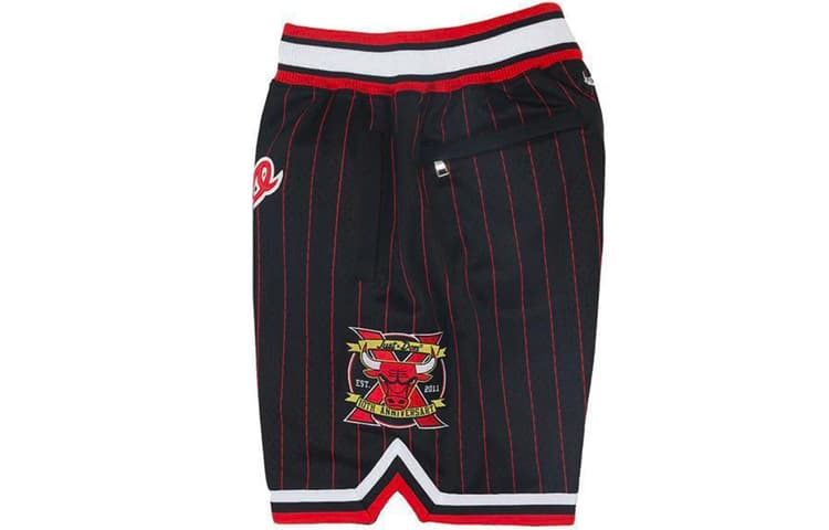 Баскетбольные шорты Mitchell Ness Just Don 1996 - изображение 3