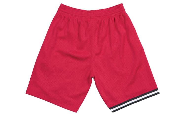 Баскетбольные шорты Mitchell Ness SW 96-97 - изображение 2