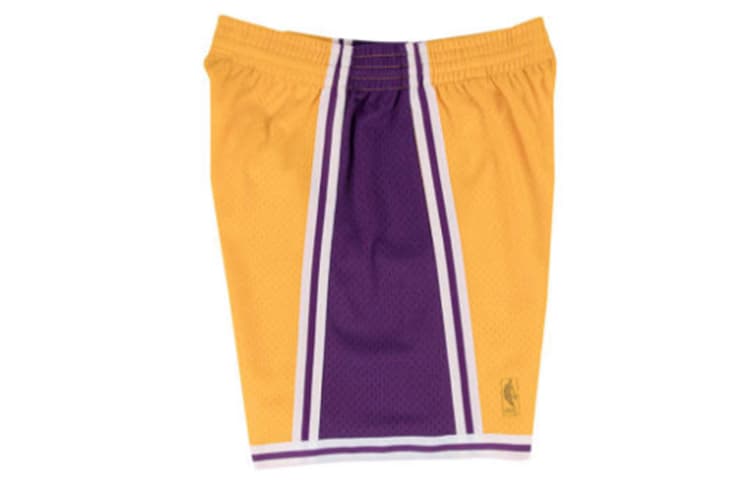 Баскетбольные шорты Mitchell Ness MN SW 96-97 - изображение 2