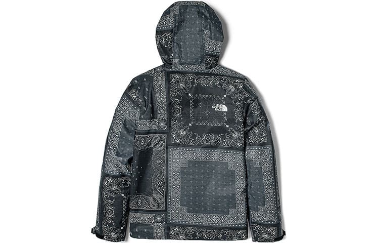 Демисезонная куртка The North Face - изображение 2