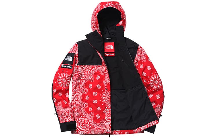 Демисезонная куртка Supreme x The North Face Red Jacket - изображение 3