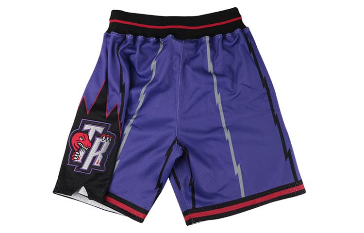 Баскетбольные шорты Mitchell & Ness Authentic Raptors Purple - изображение 2