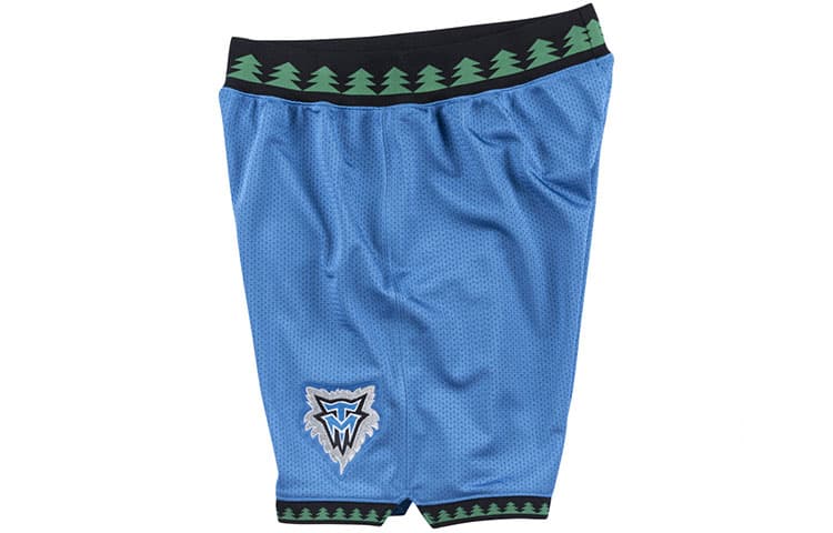 Баскетбольные шорты Mitchell Ness AU 03 - изображение 4