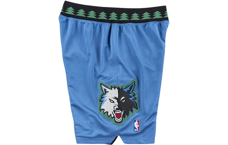 Баскетбольные шорты Mitchell Ness AU 03 - изображение 3