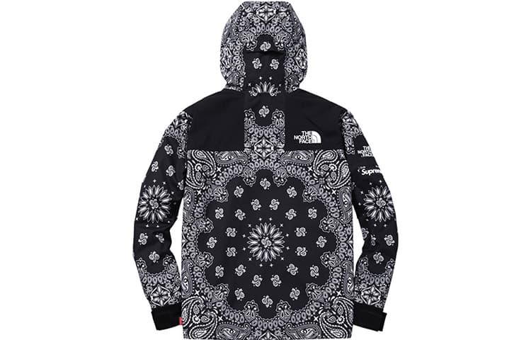 Демисезонная куртка Supreme x The North Face - изображение 2