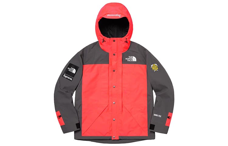 Демисезонная куртка Supreme x The North Face SS20 Jacket Pink - изображение 2