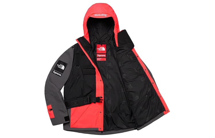 Демисезонная куртка Supreme x The North Face SS20 Jacket Pink - изображение 3