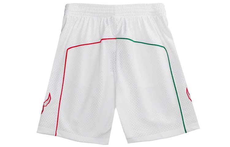 Баскетбольные шорты Mitchell Ness 2007-08 Logo - изображение 2