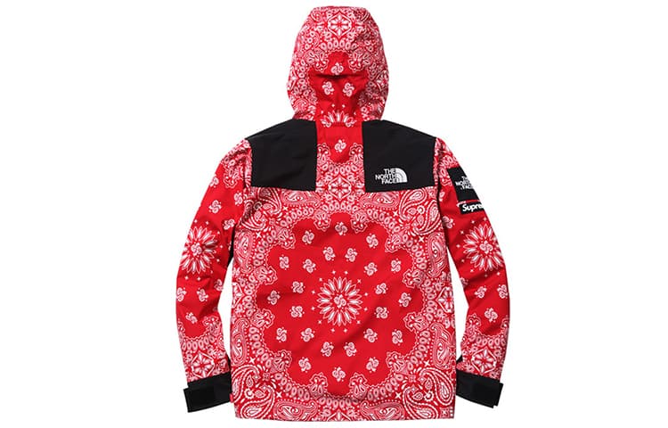 Демисезонная куртка Supreme x The North Face Red Jacket - изображение 2