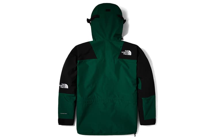 Демисезонная куртка The North Face Retro Mountain Light Futurelight - изображение 2