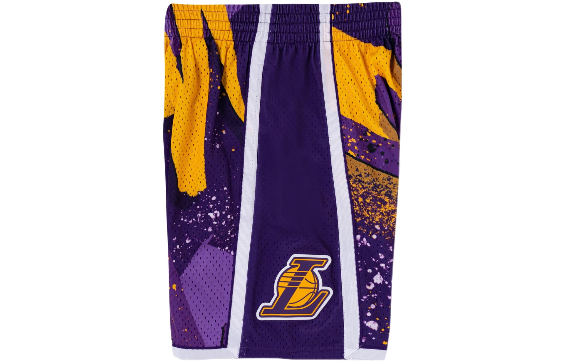 Баскетбольные шорты Mitchell Ness SW 09-10 NBA - изображение 4