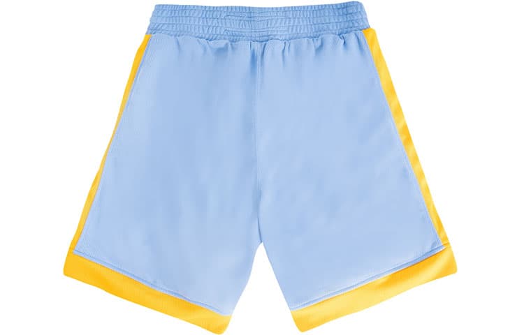 Баскетбольные шорты Mitchell Ness AU 01-02 - изображение 2