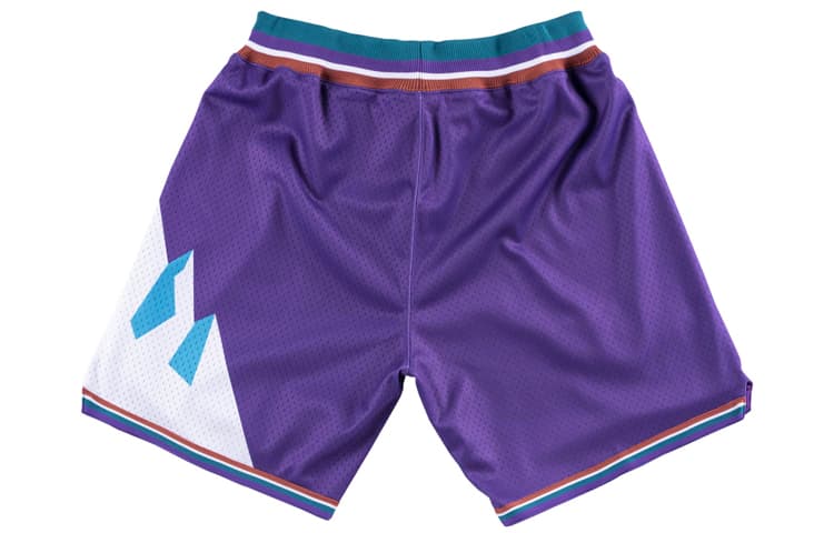 Баскетбольные шорты Mitchell Ness AU 96-97 - изображение 2