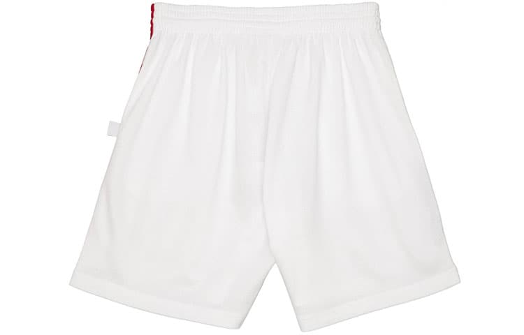 Баскетбольные шорты Mitchell Ness Big Face 2.0 NBA - изображение 2