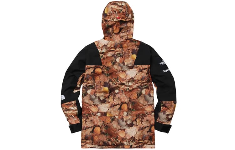 Демисезонная куртка Supreme x The North Face FW16 Leaf Print Jacket Black - изображение 2