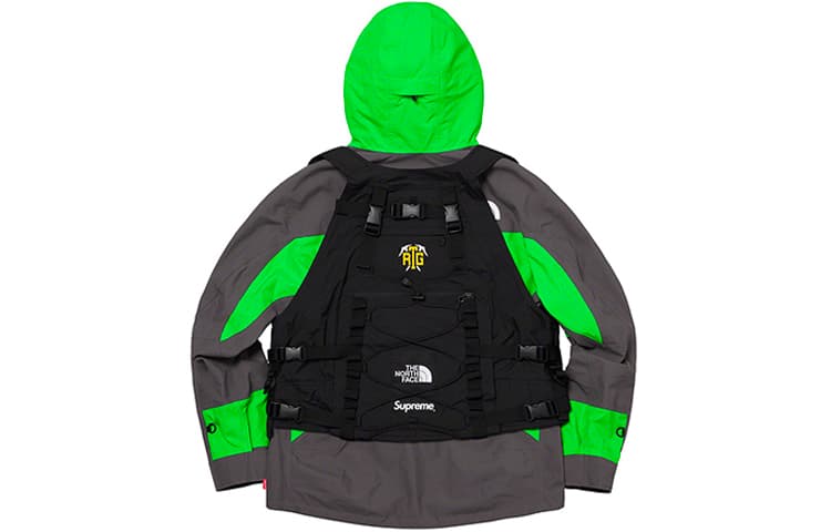Демисезонная куртка Supreme x The North Face SS20 Jacket - изображение 3
