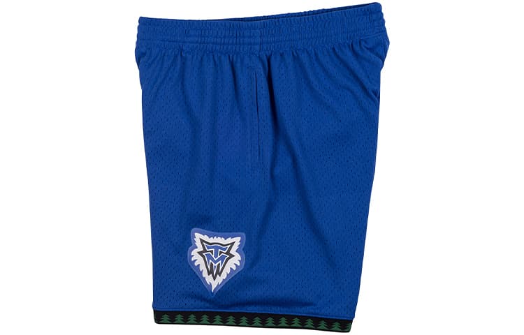 Баскетбольные шорты Mitchell Ness SW - изображение 3