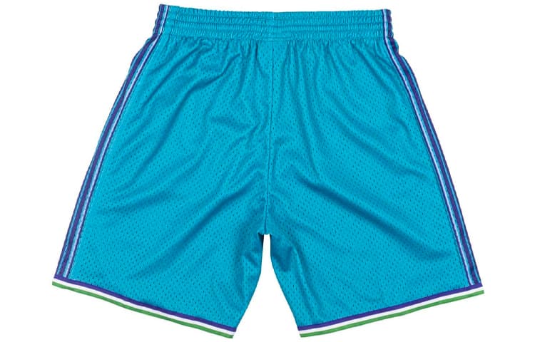 Баскетбольные шорты Mitchell Ness SW 99 - изображение 2