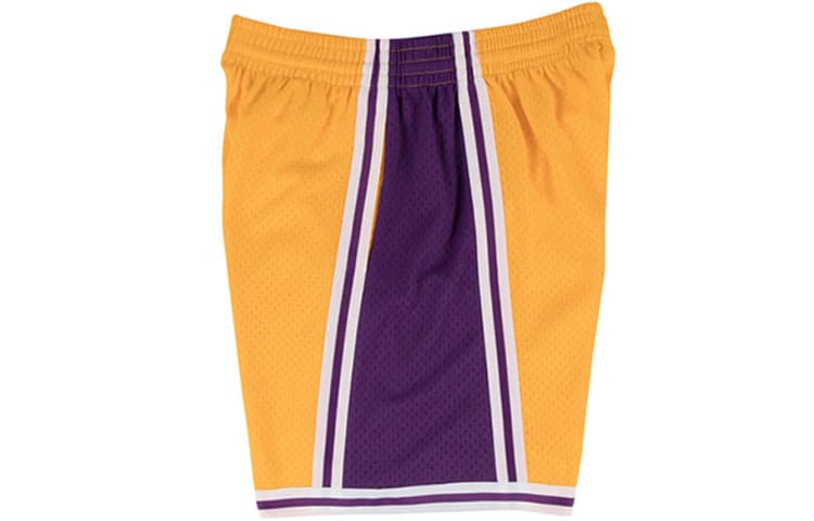 Баскетбольные шорты Mitchell Ness MN SW 96-97 - изображение 3