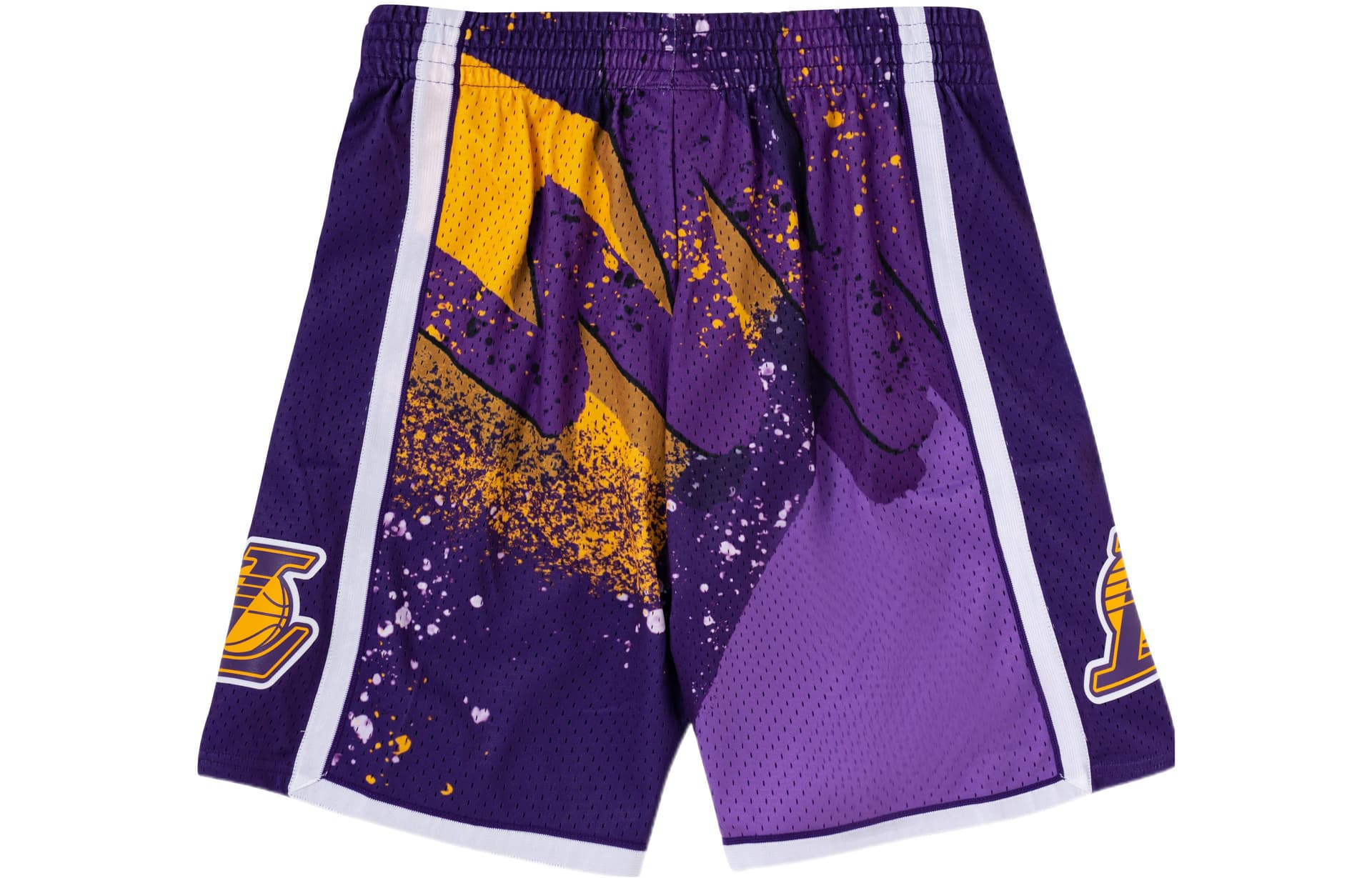 Баскетбольные шорты Mitchell Ness SW 09-10 NBA - изображение 2