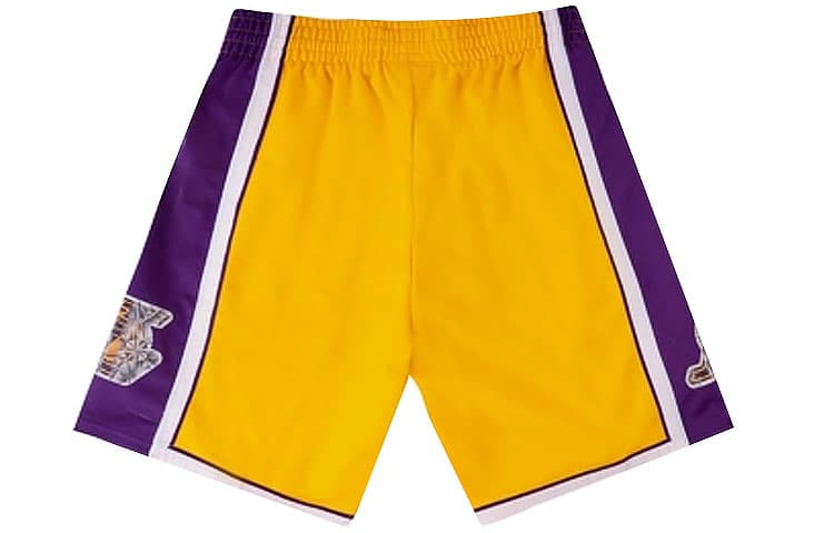 Баскетбольные шорты Mitchell Ness NBA 75 SW 96 - изображение 2