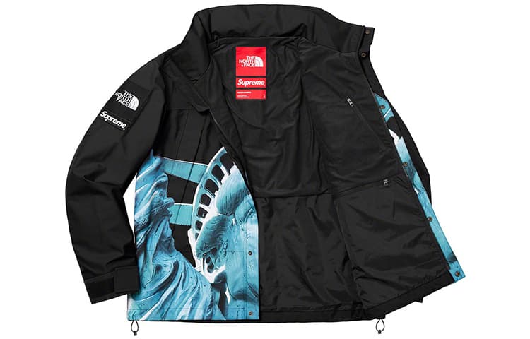 Демисезонная куртка Supreme x The North Face Statue of Liberty Mountain Jacket Black - изображение 3