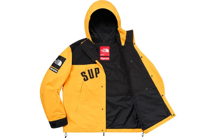 Демисезонная куртка Supreme x The North Face - изображение 3