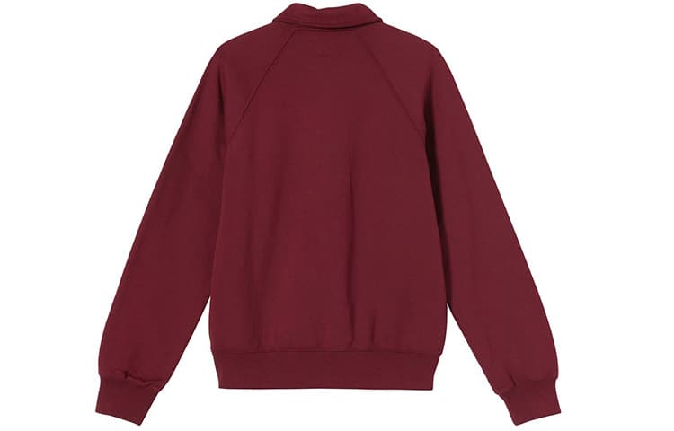 Худи Stussy Polo - изображение 2