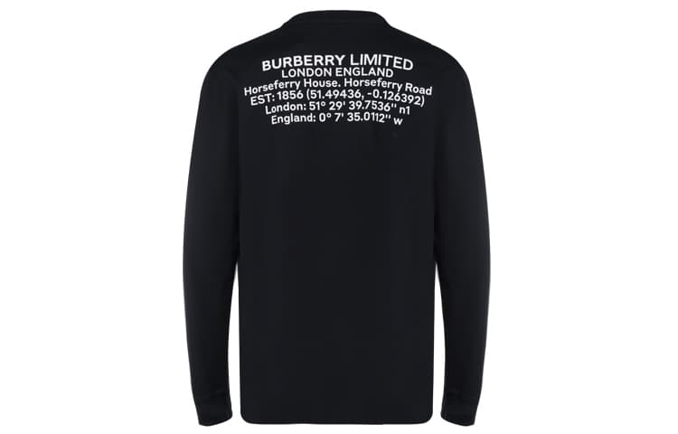 Худи Burberry Logo - изображение 2