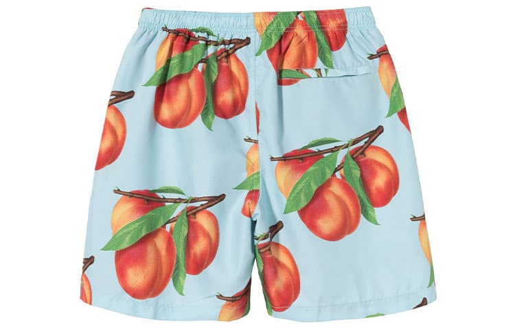 Шорты Stussy Peaches Water Short - изображение 2
