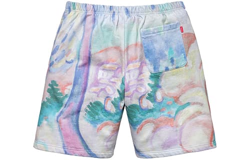 Шорты Supreme SS18 Landscape Sweatshort Multicolor - изображение 2