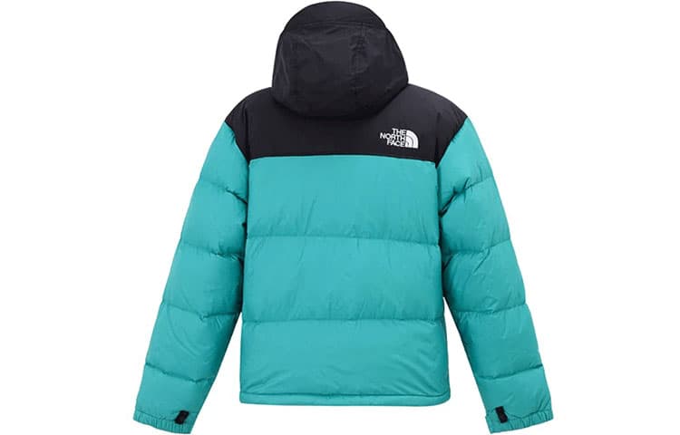 Зимняя куртка THE NORTH FACE 1996 Retro Nuptse 700 - изображение 2