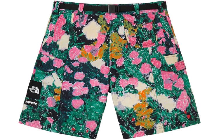 Шорты Supreme SS22 The North Face trekking packable belted short - изображение 2