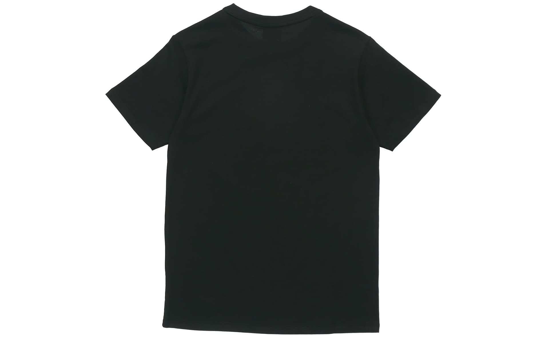 Футболка Dickies Logo Print T-Shirt Black - изображение 2