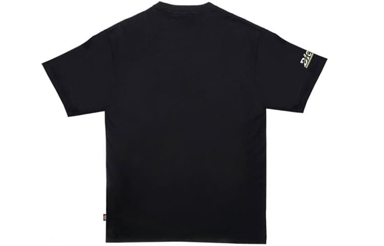Футболка Dickies logoT - изображение 2