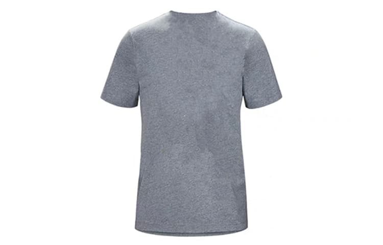Футболка Arcteryx ORIGIN WINTER FOLIAGE T - изображение 2