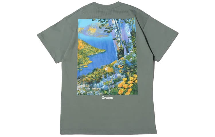 Футболка Nike ACG Crater Lake T - изображение 2
