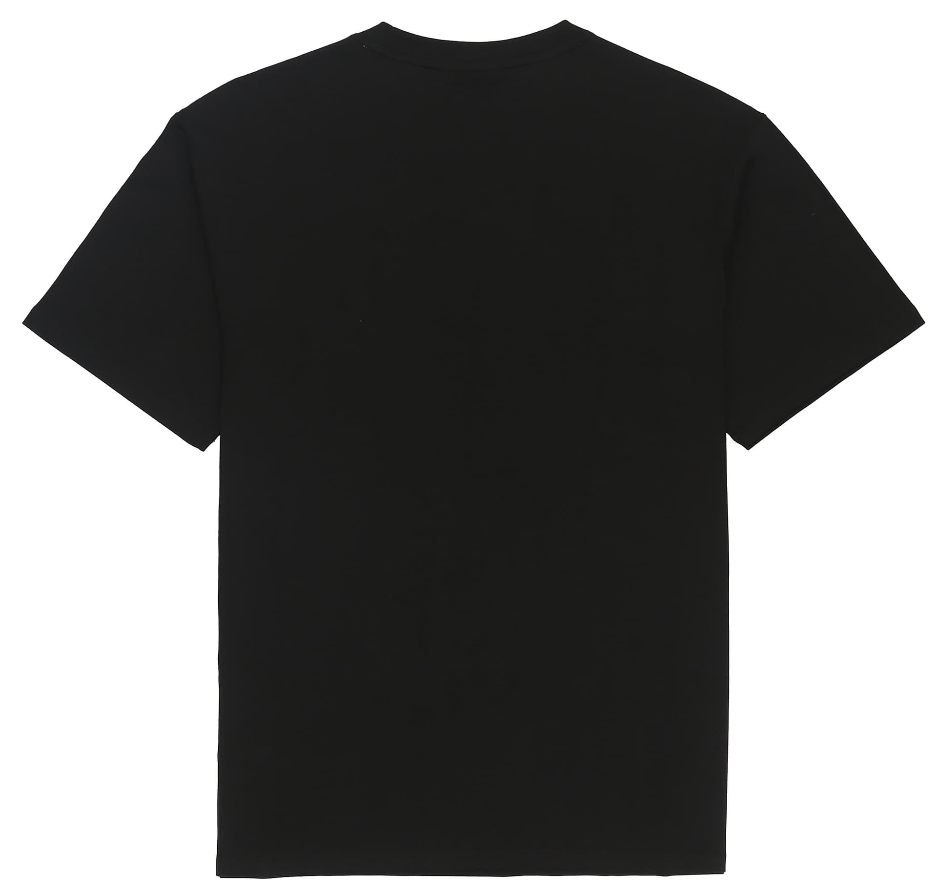 Футболка Dickies SS22 T - изображение 2