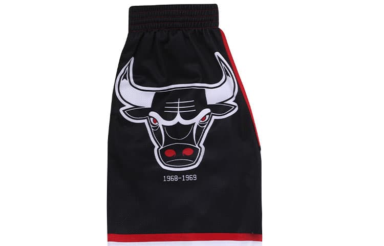 Баскетбольные шорты Mitchell Ness Logo SW - изображение 4