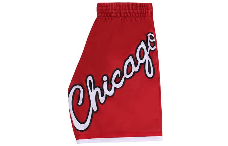 Баскетбольные шорты Mitchell Ness Logo SW - изображение 3